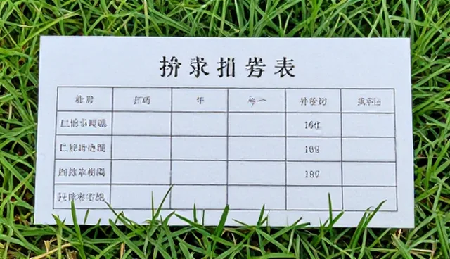 企业展示服务性能对比与适用条件分析